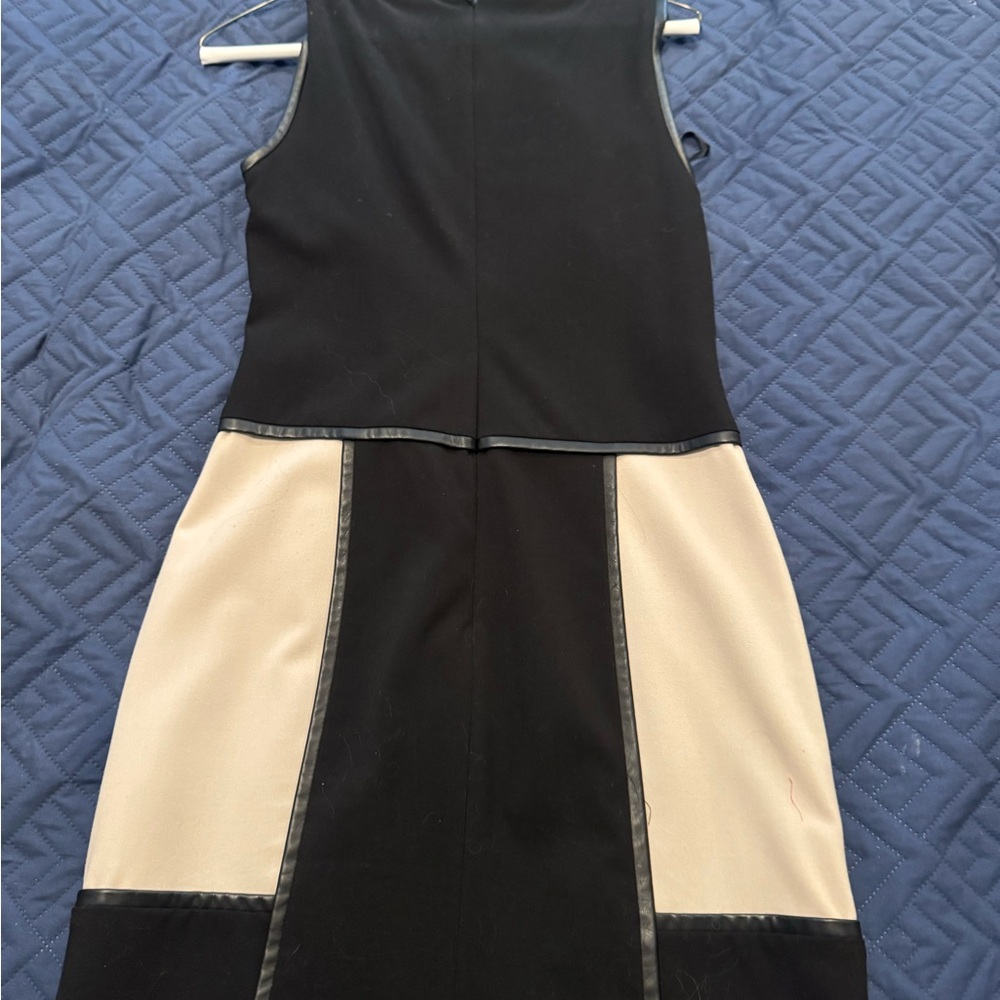 Petite Colorblock Dress
